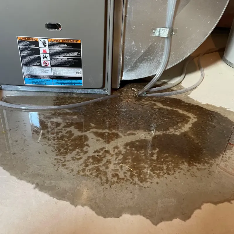 Appliance Leak Cleanup in Wexford County, MI